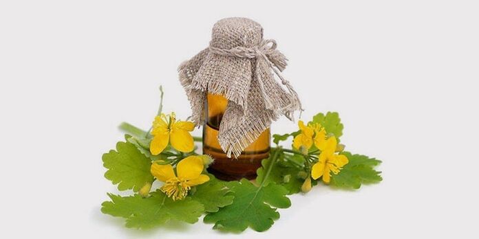 aceite de celidonia para hongos en los pies
